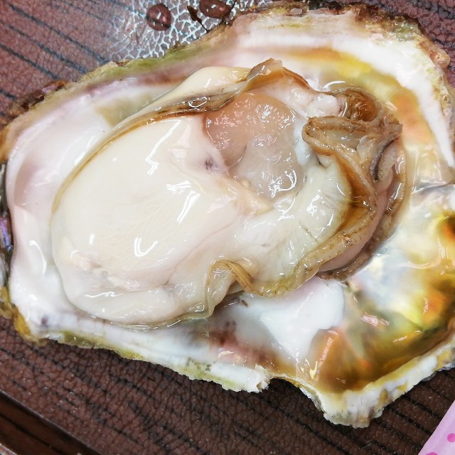 f:id:s06216to:20180727125835j:image