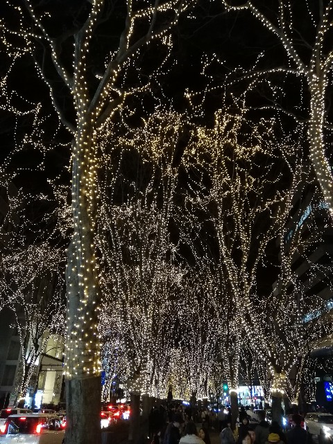 f:id:s06216to:20181223140138j:image