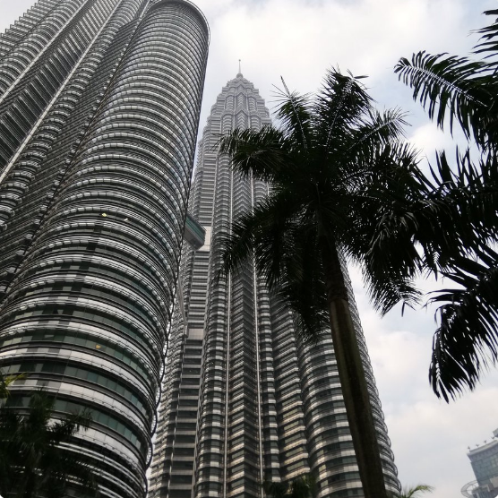 f:id:s06216to:20190509160203p:plain f:id:s06216to:20190509160203p:plain