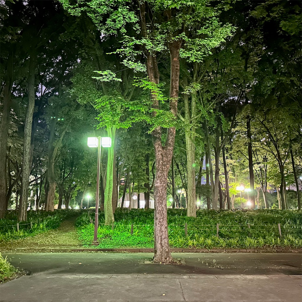 f:id:s06216to:20230611210723j:image