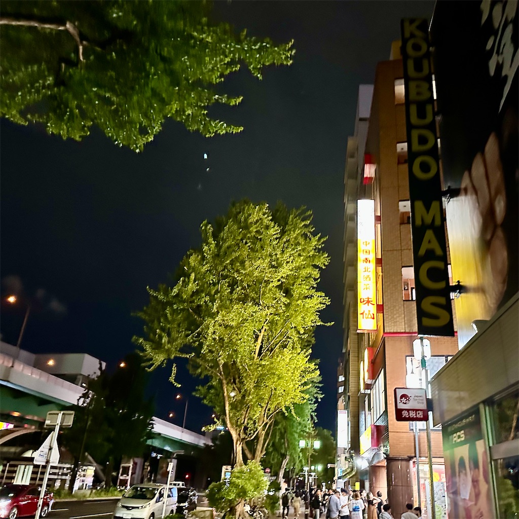 f:id:s06216to:20230611210728j:image