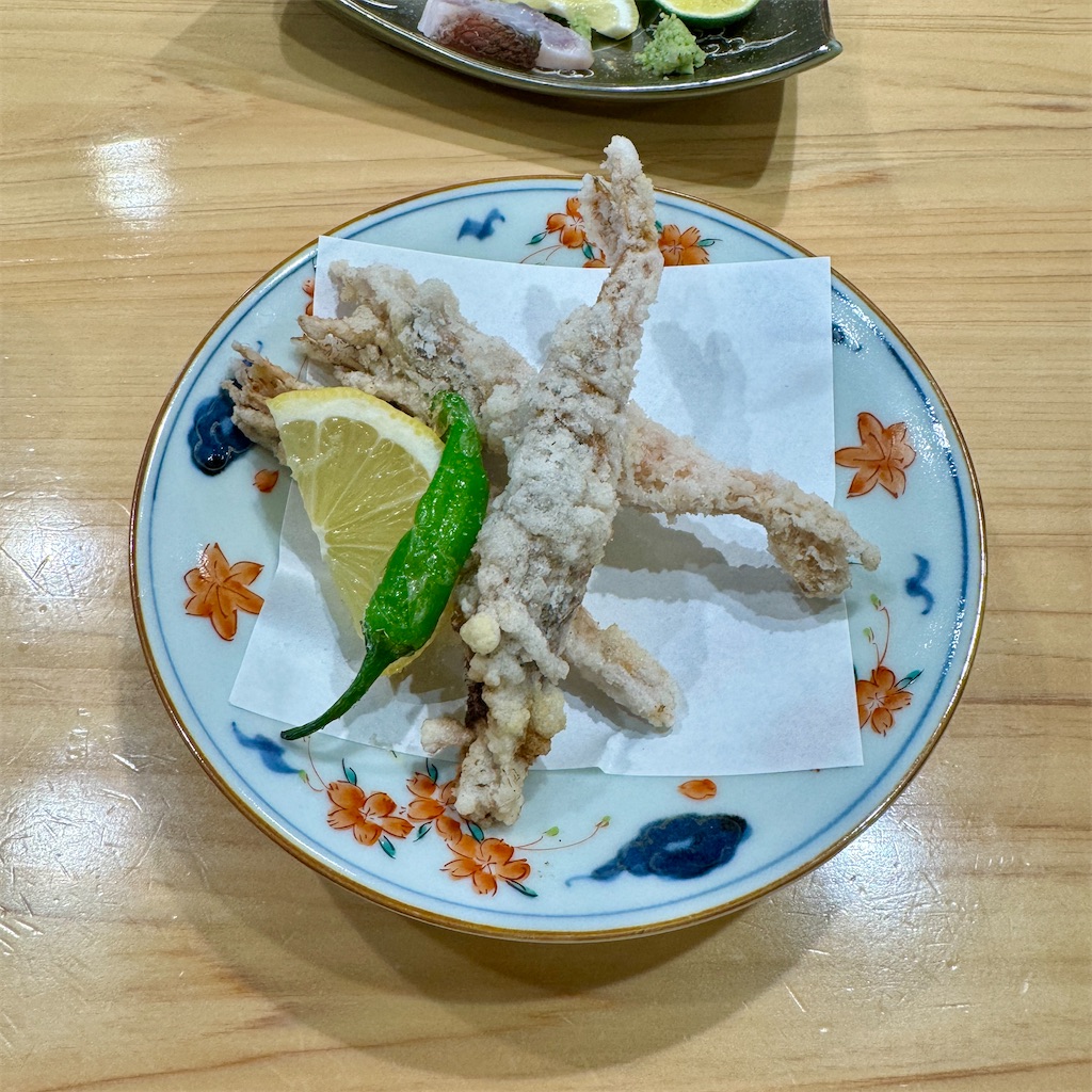 f:id:s06216to:20240127154403j:image f:id:s06216to:20240127154403j:image