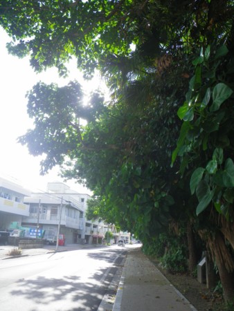 f:id:s0met1me:20100724081347j:image