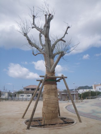 f:id:s0met1me:20110306110621j:image f:id:s0met1me:20110306110621j:image