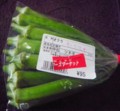 [110908][島野菜(丸オクラ)]