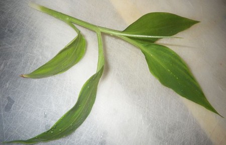 f:id:s0met1me:20140916162912j:image:w400 f:id:s0met1me:20140916162912j:image:w400