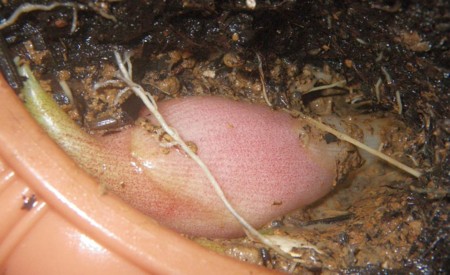 f:id:s0met1me:20140918083457j:image:w400 f:id:s0met1me:20140918083457j:image:w400