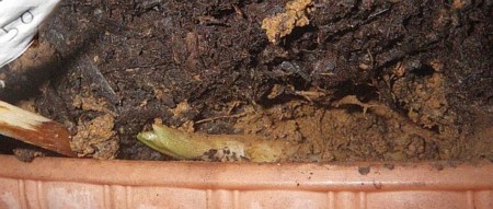 f:id:s0met1me:20141011040648j:image:w400 f:id:s0met1me:20141011040648j:image:w400