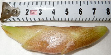 f:id:s0met1me:20141015093158j:image:w400 f:id:s0met1me:20141015093158j:image:w400