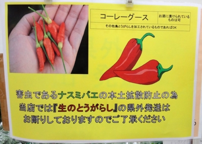 f:id:s0met1me:20151121131149j:image