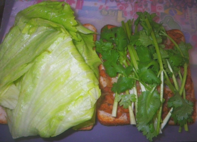 f:id:s0met1me:20160703182219j:image