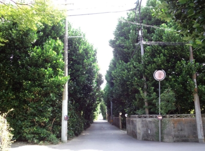 f:id:s0met1me:20160716100636j:image