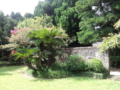 f:id:s0met1me:20160717094306j:image