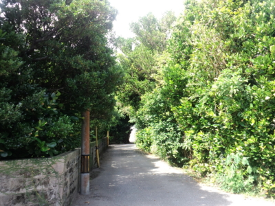 f:id:s0met1me:20160717094543j:image