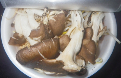 f:id:s0met1me:20161218092028j:image