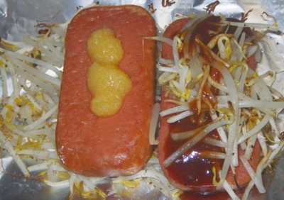 f:id:s0met1me:20170124231258j:image