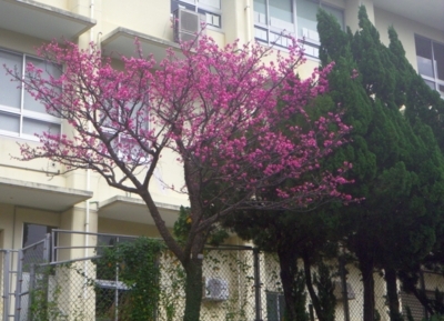 f:id:s0met1me:20180128112828j:image f:id:s0met1me:20180128112828j:image