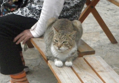 f:id:s0met1me:20180216141332j:image