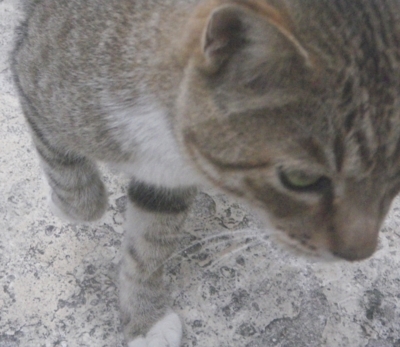 f:id:s0met1me:20180216141608j:image