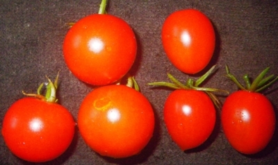 f:id:s0met1me:20180523170151j:image