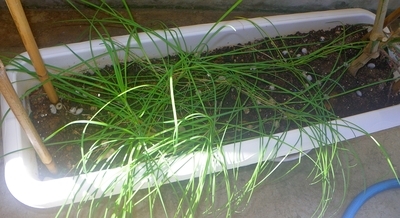 f:id:s0met1me:20181008105219j:image