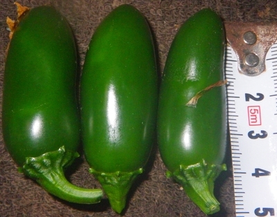 f:id:s0met1me:20181122175520j:image