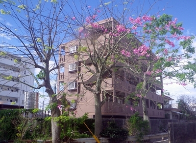 f:id:s0met1me:20181128113434j:image