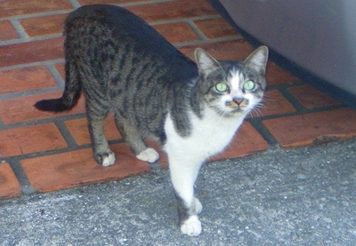 f:id:s0met1me:20181128113524j:image