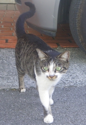 f:id:s0met1me:20181128113541j:image