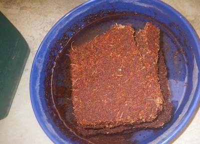 f:id:s0met1me:20190305180845j:image