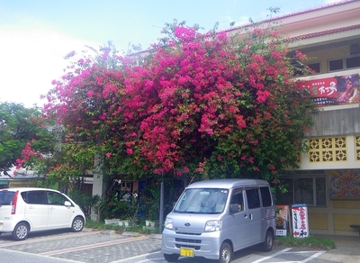 f:id:s0met1me:20191028110924j:image
