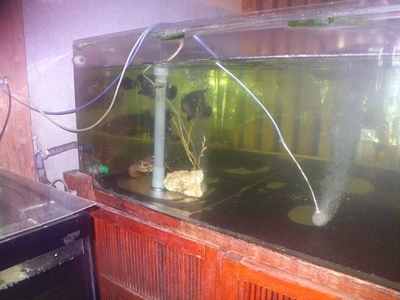 f:id:s0met1me:20210817114807j:image