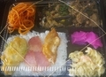[210907][「琉花」なすひき肉中]