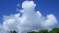 [241007][昼空]