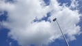[241009][昼空]