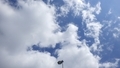 [241009][昼空]