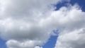 [241019][朝空][昼空]