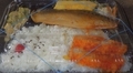 [241101][「オリーブ弁当」][煮鯖弁当]
