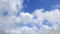 [241115][雨上がりの朝空]