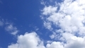 [241130][昼空]