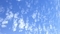 [241201][昼空]