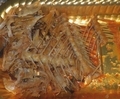 [260209][「かねひで」][お魚屋さんの惣菜][煮魚(調理済]