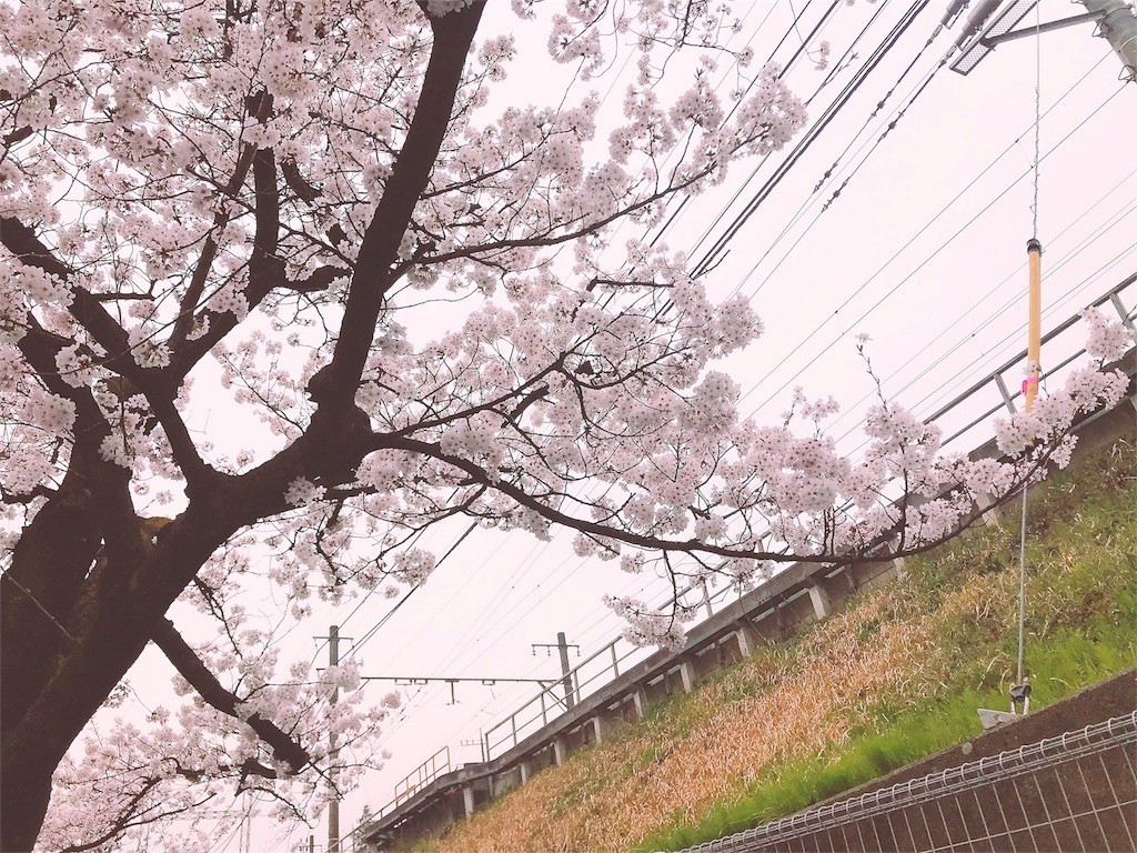 f:id:s12bt:20180328000601j:image f:id:s12bt:20180328000601j:image
