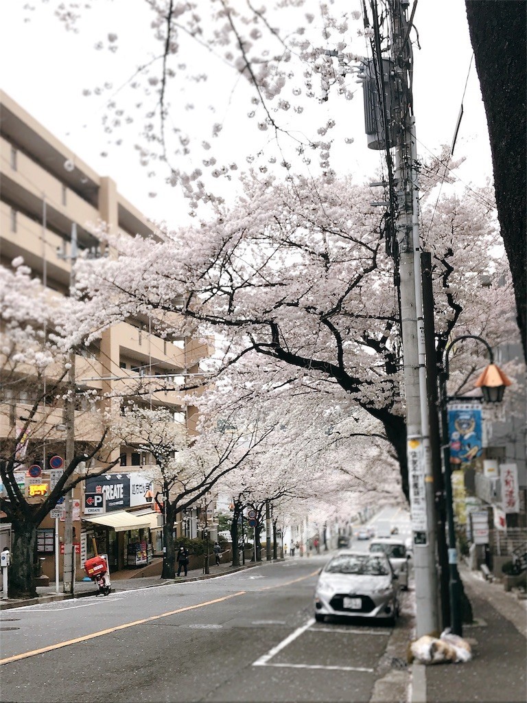f:id:s12bt:20180328001618j:image f:id:s12bt:20180328001618j:image