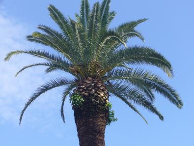 f:id:s132396:20170518012045j:plain