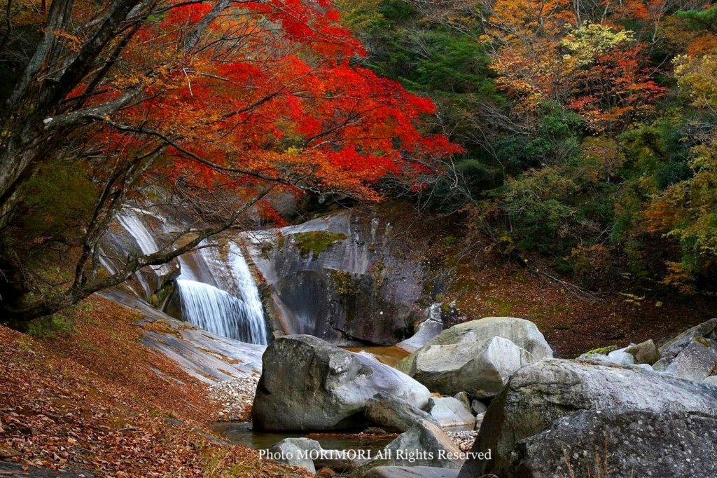 f:id:s132396:20180211222426p:plain