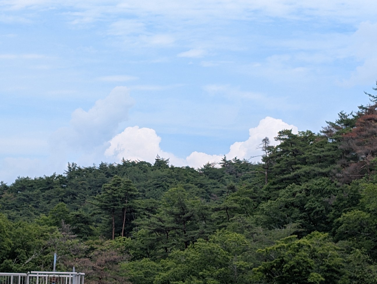 f:id:s1rpm:20260706205503j:image