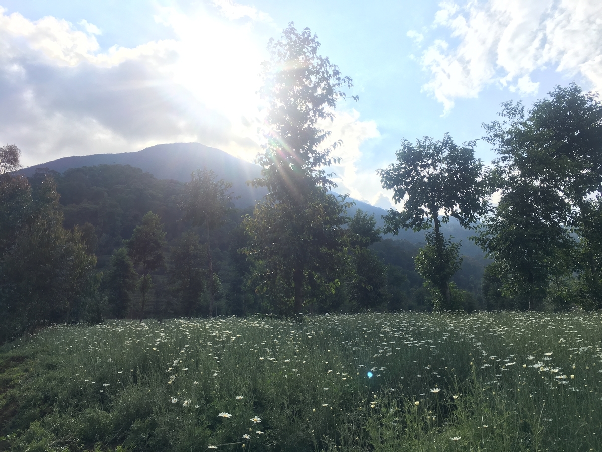 f:id:s2-so-sw:20191018171923j:plain f:id:s2-so-sw:20191018171923j:plain