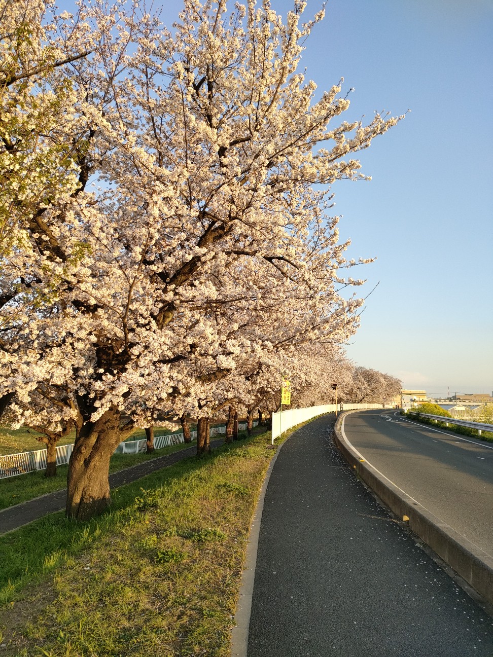 f:id:s2no:20250413021330j:image