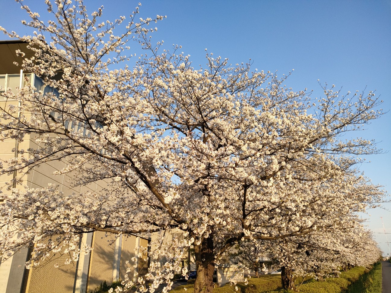 f:id:s2no:20250413021359j:image
